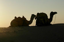 Jaisalmer, Tour Trip to Colorful Rajasthan