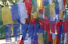 Gangtok Flag, Exotic East India Tour packages